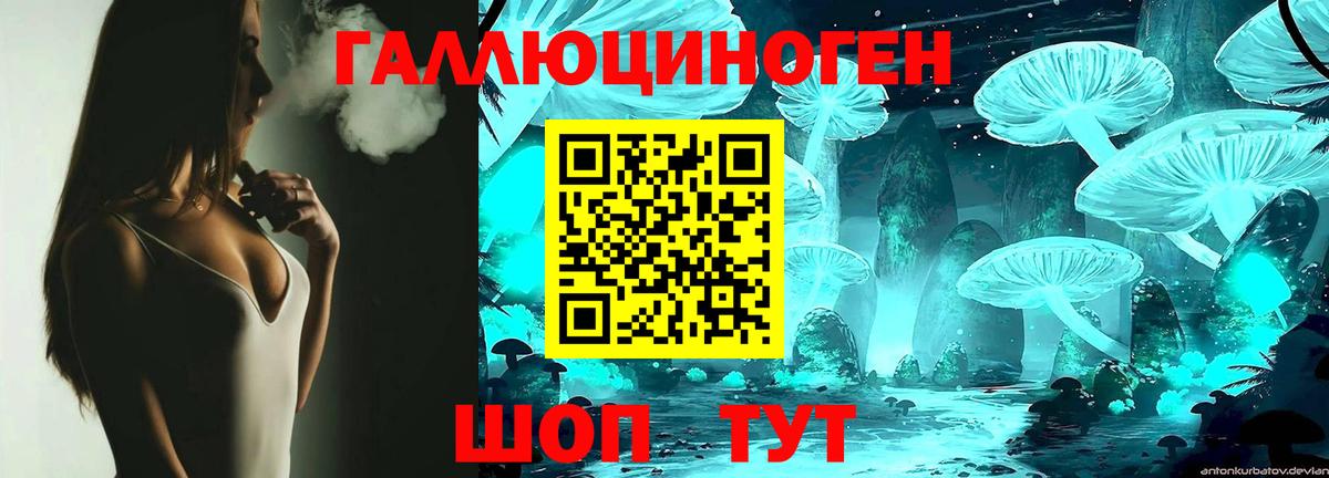 Галлюциногенные грибы Psilocybe Нижний Тагил